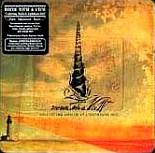 Room With A View : Collecting Shells at Lighthouse Hill